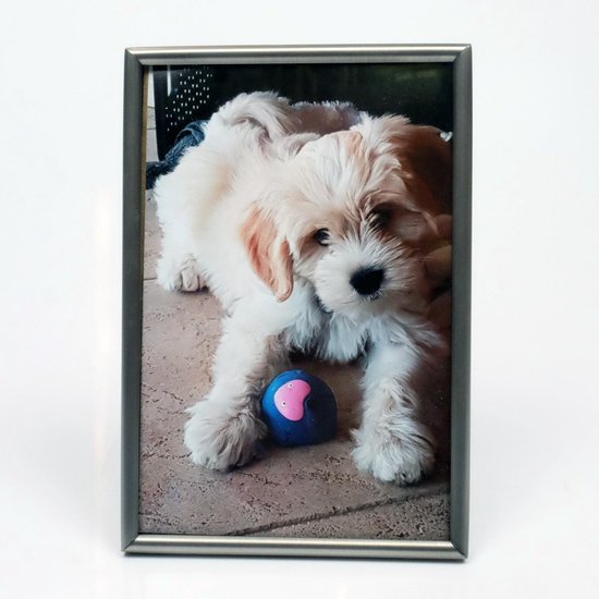 AL - Mat Zilver - Fotolijst - Bol - 20 x 25 cm