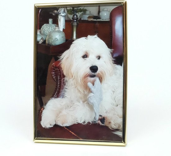 AL - Fotolijst - Goud - Bol - 9 x 13 cm