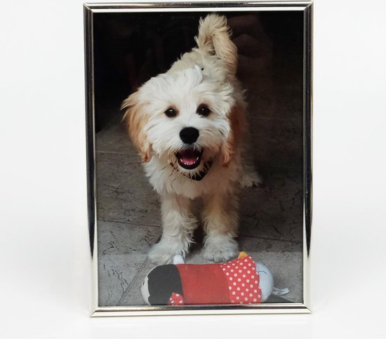 AL - Fotolijst - Zilver - Bol - 20 x 30 cm
