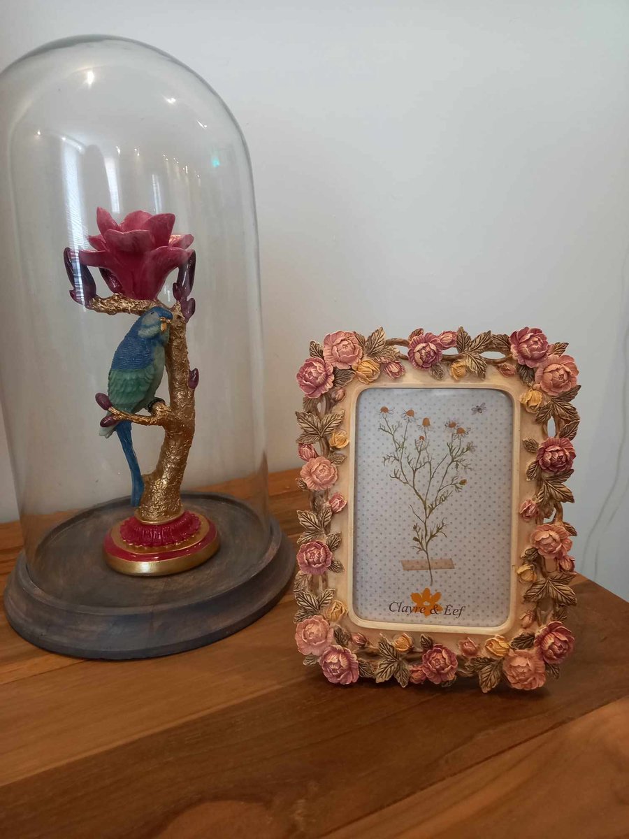 Clayre & Eef Fotolijst 10x15 cm Roze Kunststof Glas Roosjes Fotokader