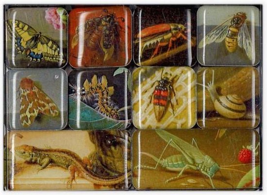 Mauritshuis Museum Gifts - Mini Magneetset - Griezelige Kruipers
