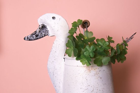Clayre & Eef Decoratie Gieter 31x16x27 cm Wit Metaal Huisdecoratie
